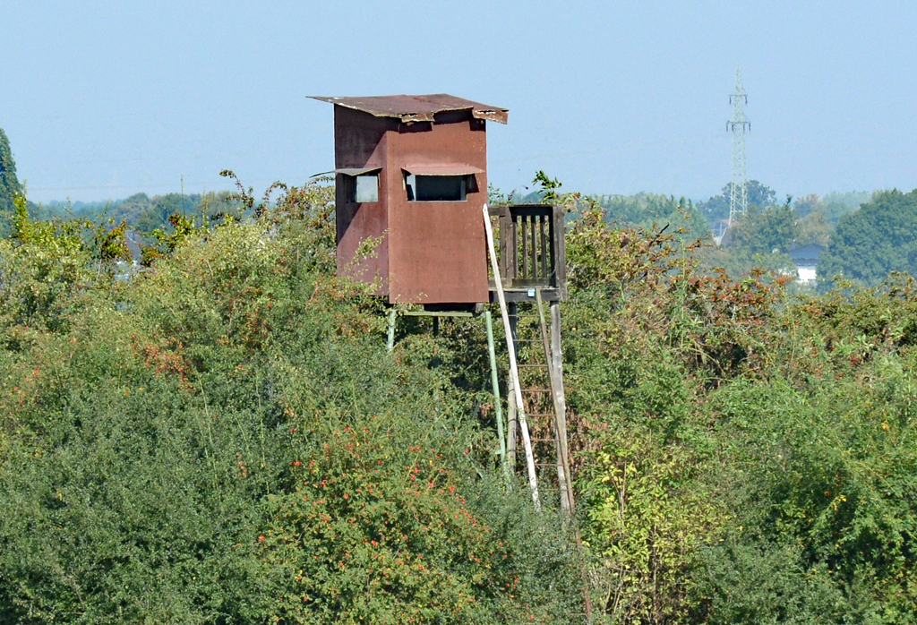 Zusammengebastelter Jägerstand im Billiger Wald bei Euskirchen - 15.09.2016