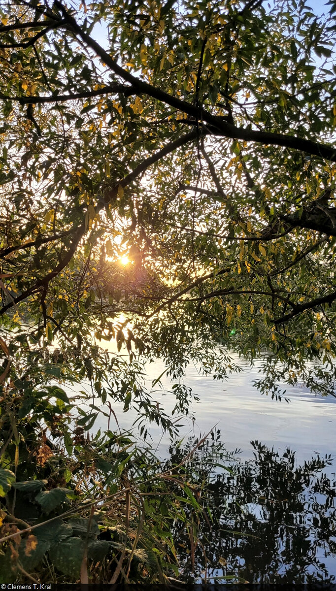 Zusammenspiel aus Licht und Schatten an der Saale in Halle-Wörmlitz.

🕓 17.10.2022 | 17:46 Uhr