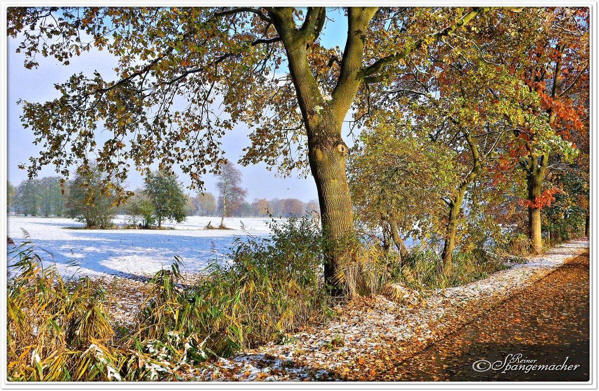 Zwei Jahreszeiten auf einem Foto, Herbst & Winter. Eine Schneefront überraschte Anfang November 2016. Fintel Kreis Rotenburg/Wümme, Kreisgrenze zum Heidekreis.