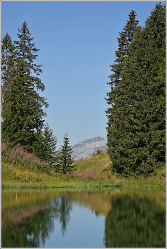 Zwischen den Tannen ist der Tour d'Ai (2300 m.ü.M) gut zu erkennen.
(05.08.2015)