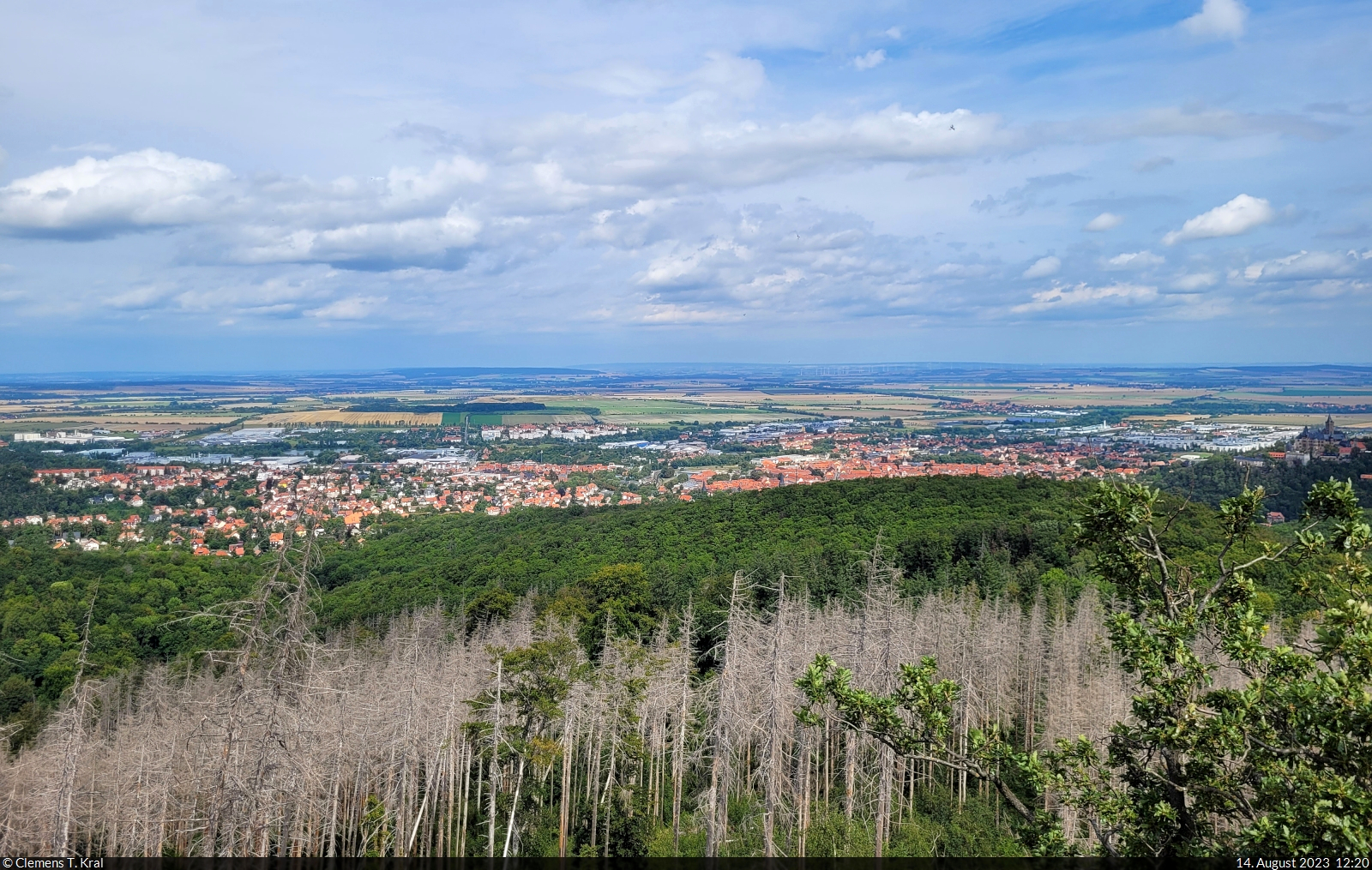 Aussicht vom Kaiserturm auf dem Armeleuteberg Richtung Nordharz. Im Vordergrund die Stadt Wernigerode. Künftige Wanderkaiser können sich hier den Stempel 35 der Harzer Wandernadel holen.

🕓 14.8.2023 | 12:20 Uhr