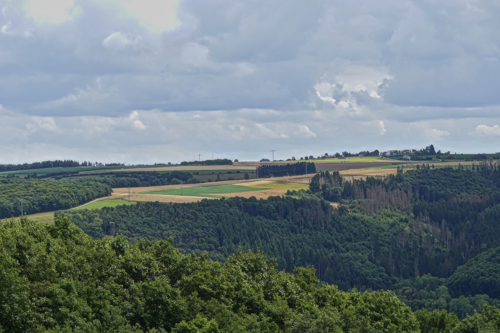 Blick von einem Wanderweg nahe Kaundorf (L), ber die Hgelige Landschaft in Richtung Eschdorf, an vielen Stellen sind die abgestorbenen Fichten in den Wldern zu sehen. 07.2025