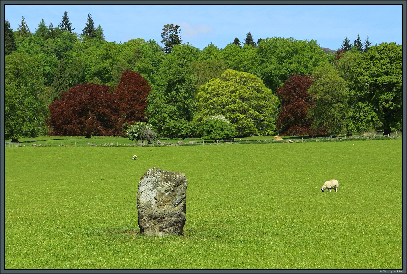 Der Dane's Stone, auch als Pitlochry Standing Stone bekannt, steht auf einer Schafweide bei Pitlochry. (13.05.2025)