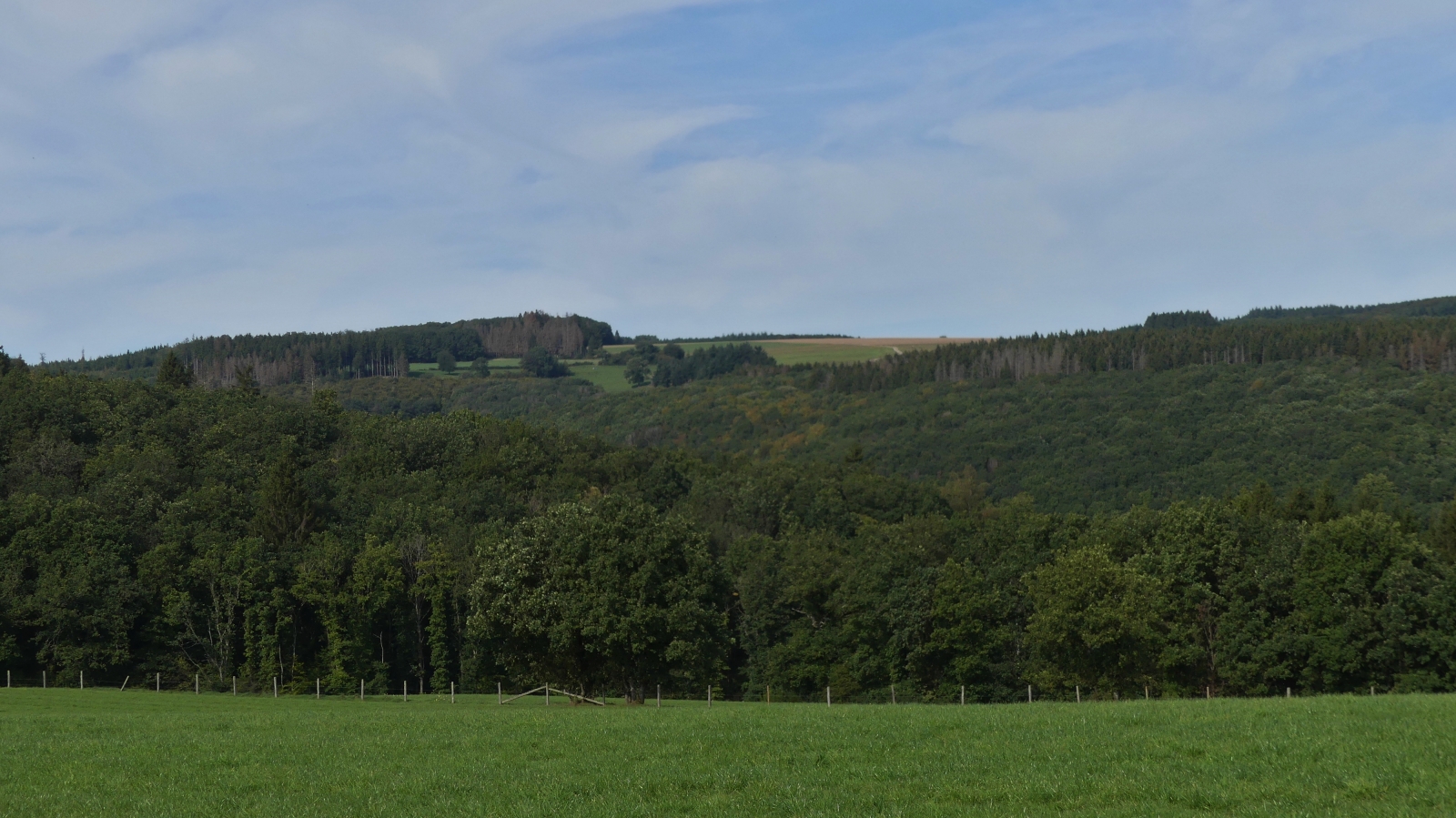 Der Wald beginnt langsam die Herbstfarben anzunehmen, aufgenommen zwischen Noertringen und Weidingen. 27.09.2023