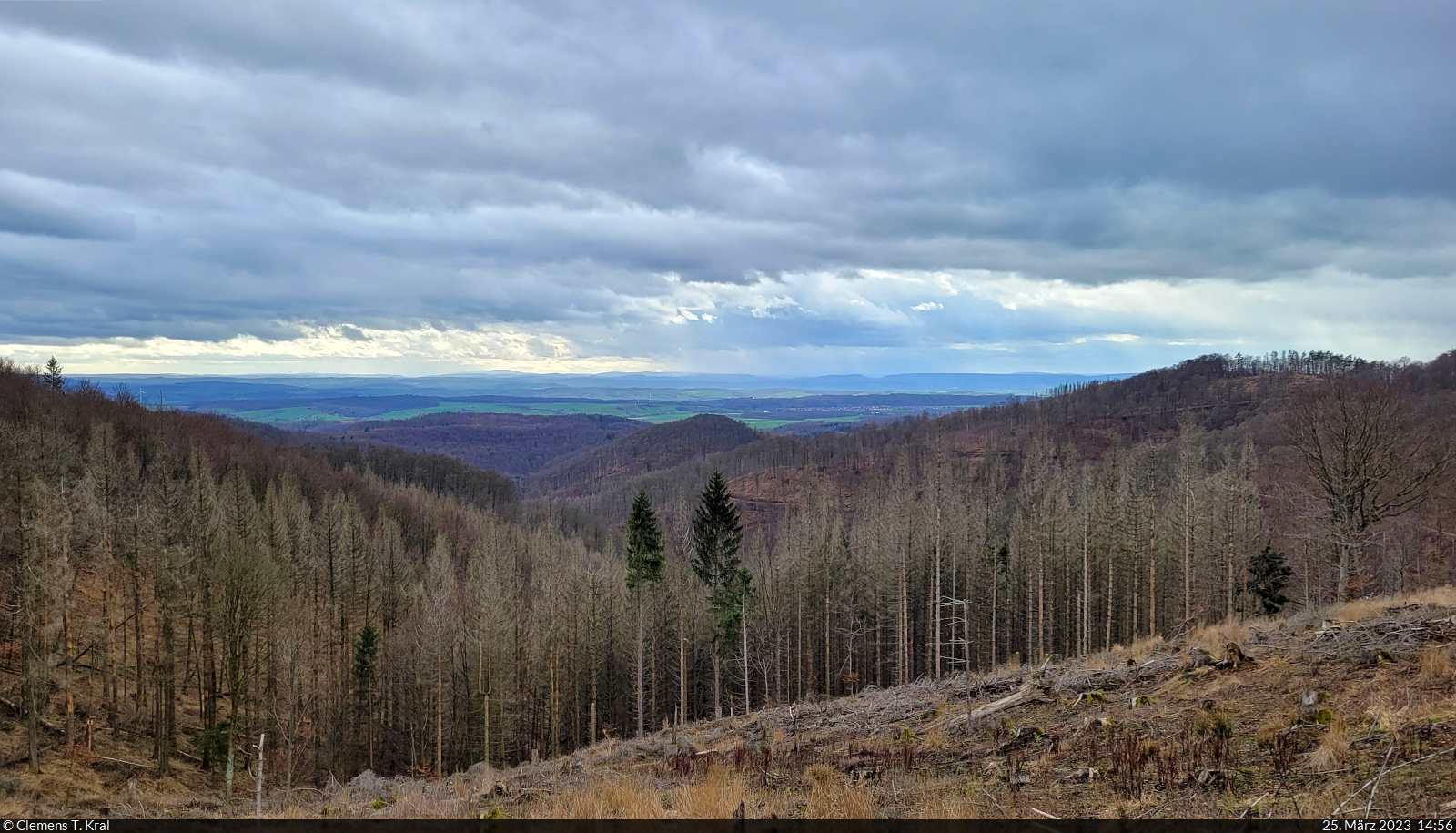 Der Wanderweg zum Großen Knollen im Westharz ermöglicht durch leider zahlreich gefällte Bäume eine Aussicht bis zum Eichsfeld in Thüringen.

🕓 25.3.2023 | 14:56 Uhr