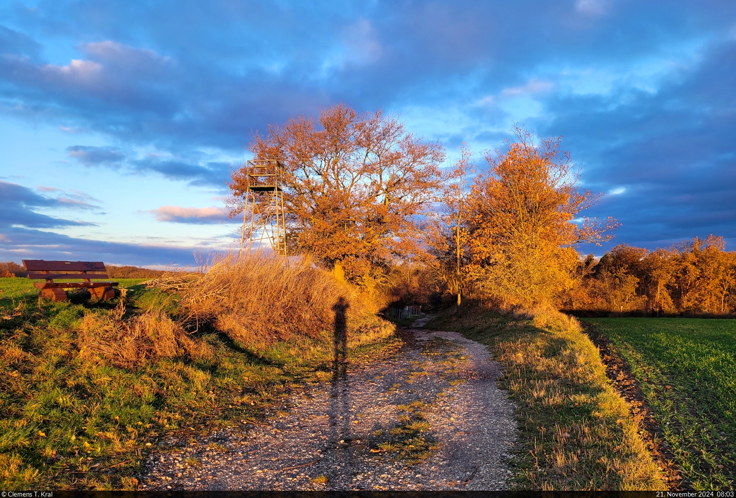 Die Bäume werden kahl, die Sonne steht tief: fortgeschrittener Herbst auf dem Granauer Berg in Halle-Nietleben.

🕓 21.11.2024 | 8:03 Uhr