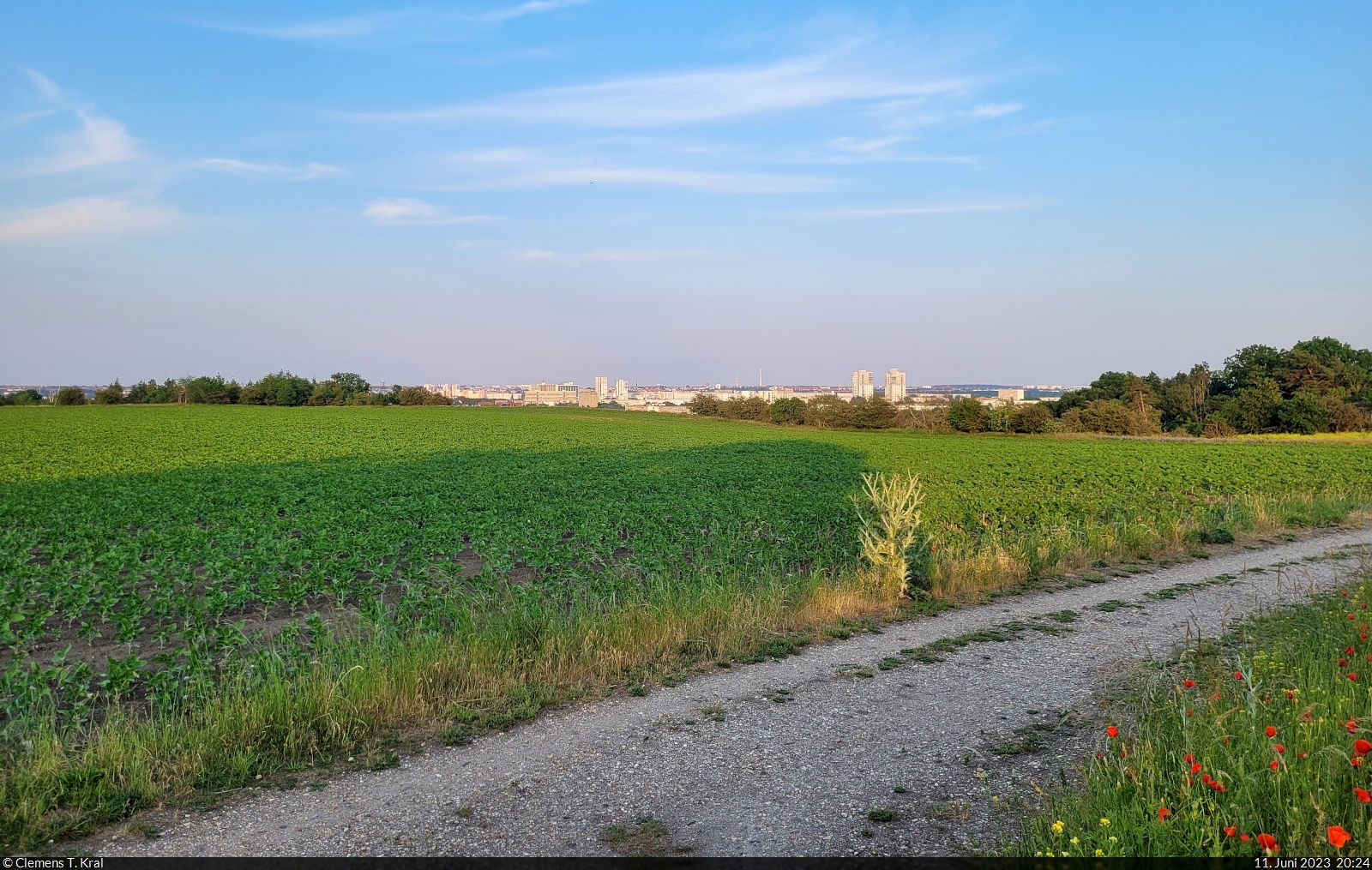 Die Häuserzeile von Halle-Neustadt und darüber hinaus ist vom Granauer Berg am Rande von Halle-Nietleben gut zu erkennen.

🕓 11.6.2023 | 20:24 Uhr