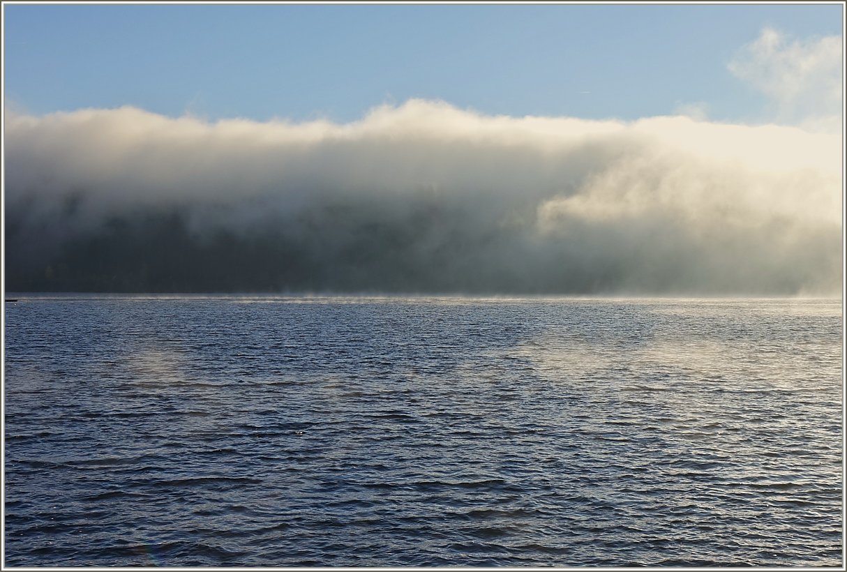 Eine dicke Nebelwelle stülpt sich über den Wald und treibt nun über den Schluchsee.
(13.11.2022)