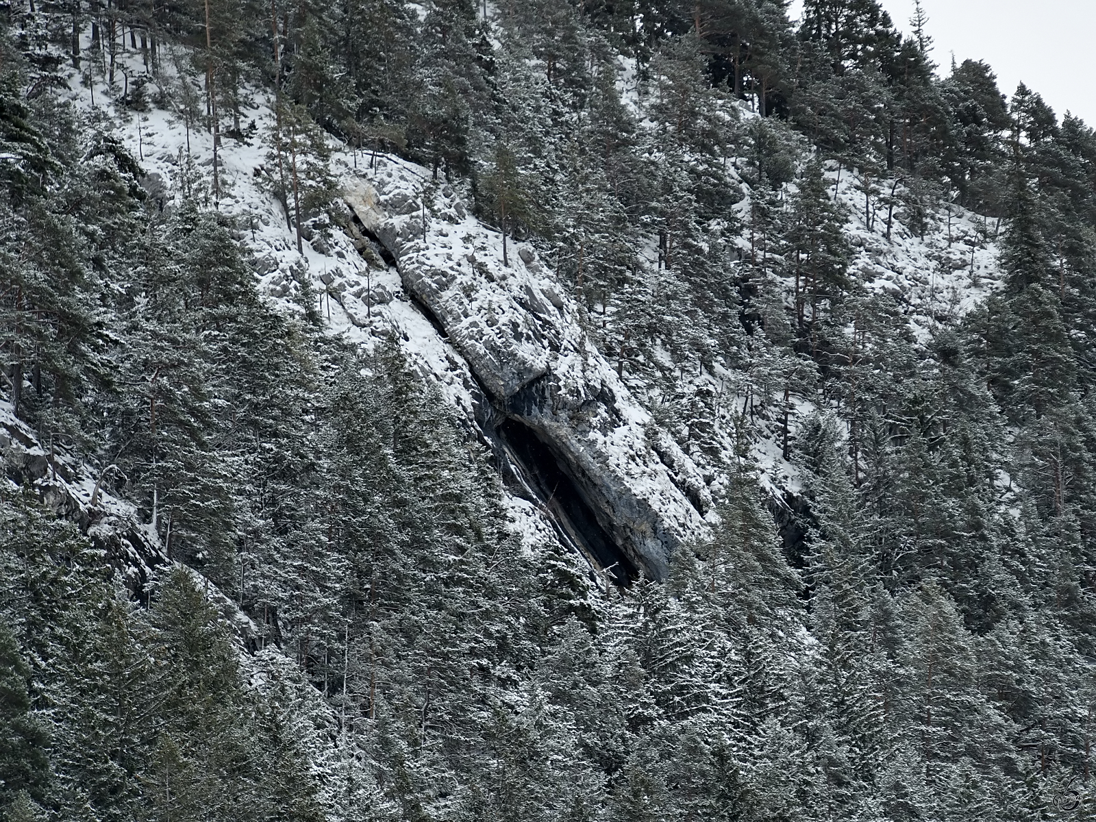 Eine Felsspalte auf dem Breitenberg, so gesehen Ende November 2023 in Pfronten.