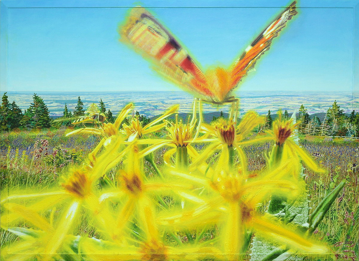  Freiheit und Weite der Natur , Gemälde, Diptychon, rechtes Bild; zeigt die Vereinigung von Makrokosmos und Mikrokosmos in einem Bild: im Vordergrund Harzgreiskrautblümchen mit einem Tagpfauenauge und einer Fliege, und im Hintergrund die weite Sicht vom Brocken Richtung Nordosten über Ilsenburg und Wernigerode am Harznordrand bis zum Kraftwerk Buschhaus bei Helmstedt und der Skyline von Magdeburg in der Ferne...