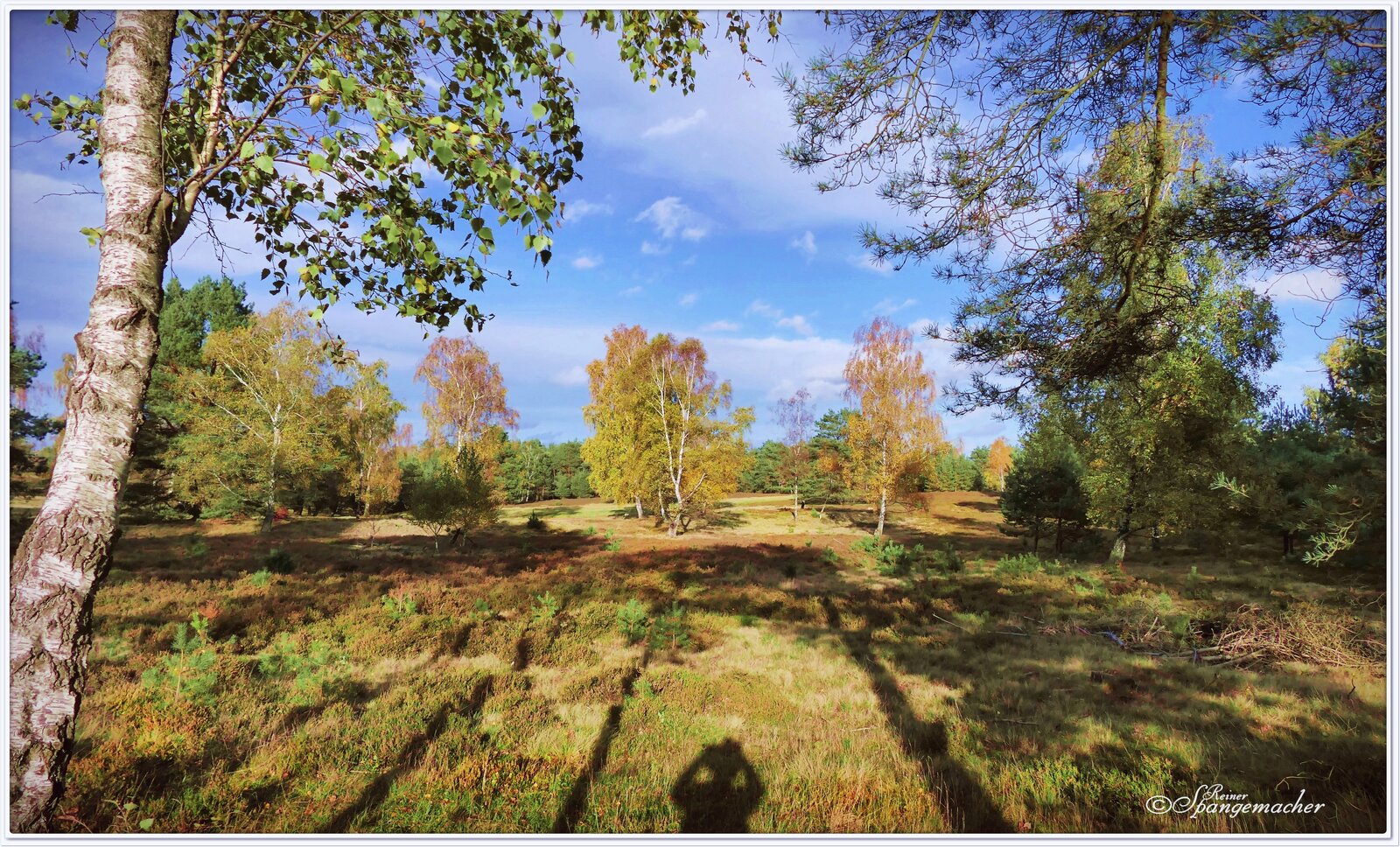 Lange Schatten wirft die tiefstehende Sonne im Herbst. Lüneburger Heide Schneverdingen/Reinsehlen. Ende Oktober 2023