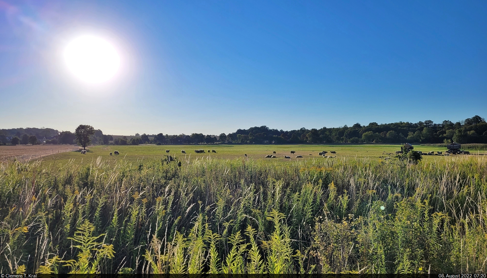 Morgensonne über der Weide in Halle-Trotha.

🕓 8.8.2022 | 7:20 Uhr