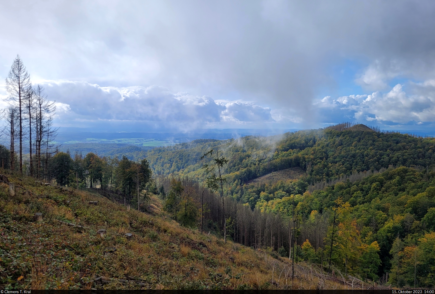 Nicht mehr mit Bäumen, dafür mit Aussicht präsentiert sich die letzte Etappe des Wanderweges zum Großen Knollen. Man kann hier Richtung Thüringen schauen.

🕓 15.10.2023 | 14:00 Uhr