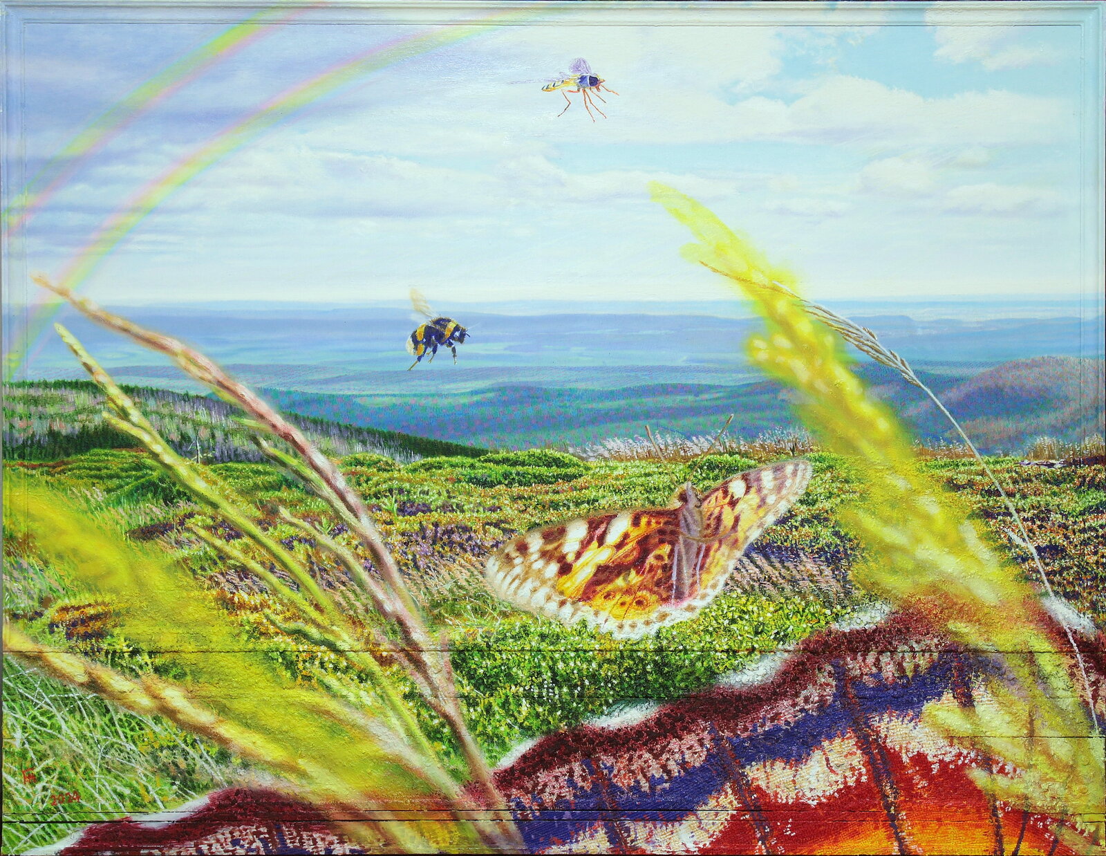  Paradies der kleinen großen Dinge , Gemälde: Öl, Ölpastell auf Baumwolle + Holz, 2024, 113 x 145 cm;
Mit dem Bild möchte ich mich für den Schutz und die Erhaltung der Insekten einsetzen, die weltweit von einem ungeheuren Massensterben bedroht sind. Im Hintergrund ist die Aussicht vom Brocken Richtung Südosten über den Ostharz bis zur Hainleite und dem südöstlichen Teil vom Thüringer Waldes in Thüringen zu sehen...