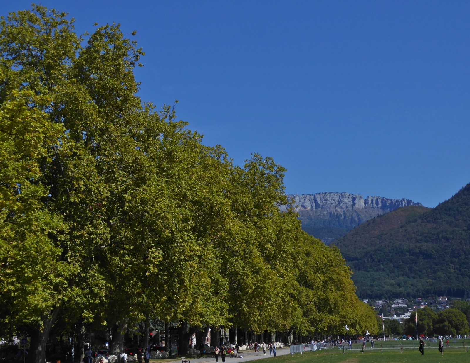 Schöne Baumalle mit Grünanlage zum Spazieren am See von Annecy. 09.2022