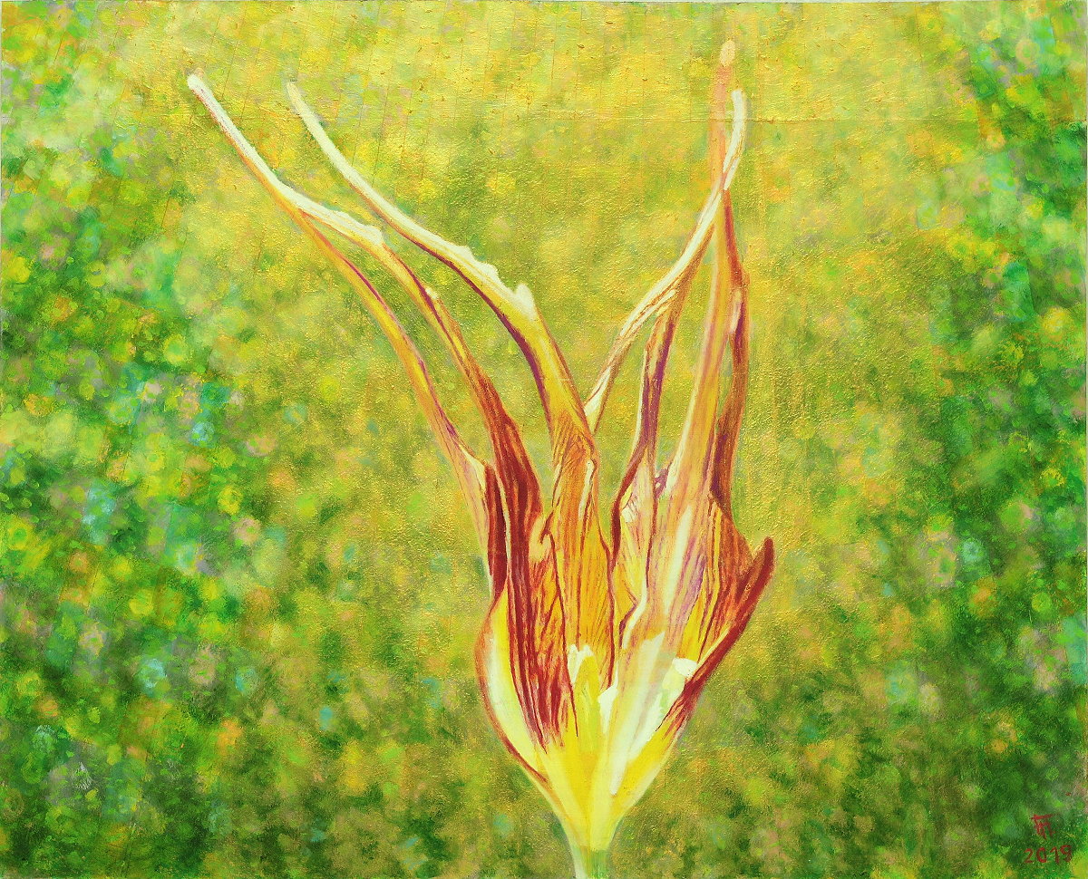  Tulipa Accuminata , Gemälde: Öl, Ölpastell auf Holz, 2019, 81 x 100 cm