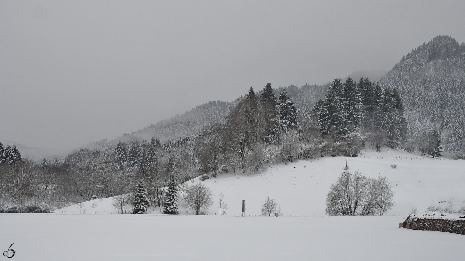 Während einer Bahnfahrt hat man doch reichlich Zeit die Landschaft zu genießen. (November 2023)