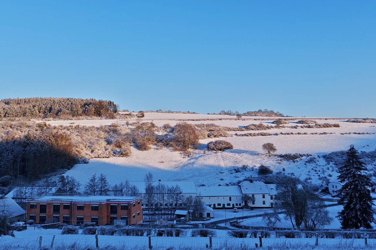 Winterimpressionen auf ca 320 m, in der Nhe von Wiltz. 21.01.2023