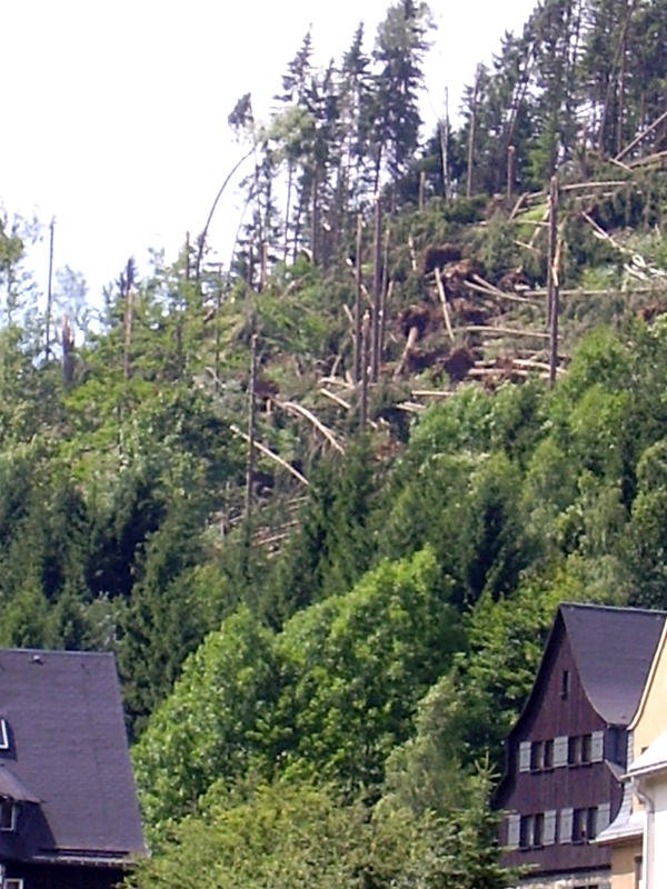 29.07.2005, das war das Datum welches fr viele Erzgebirgler lange Zeit unvergessen bleibt, Antonsthal 30.07.05
Es war der Tag oder besser die Nacht in der das obere Erzgebirge von mehreren Tornados heimgesucht wurde und im Erzgebirgsvorland hagelkrner in Faustgre vom Himmel brasselten. Viele eindrucksvolle Bilder und Berichte findet man auf www.frontgewitter.de