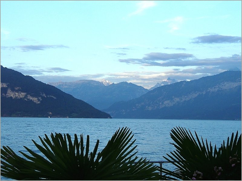 Abendstimmung am Thuner See in Spiez. 28.07.08 (Jeanny)