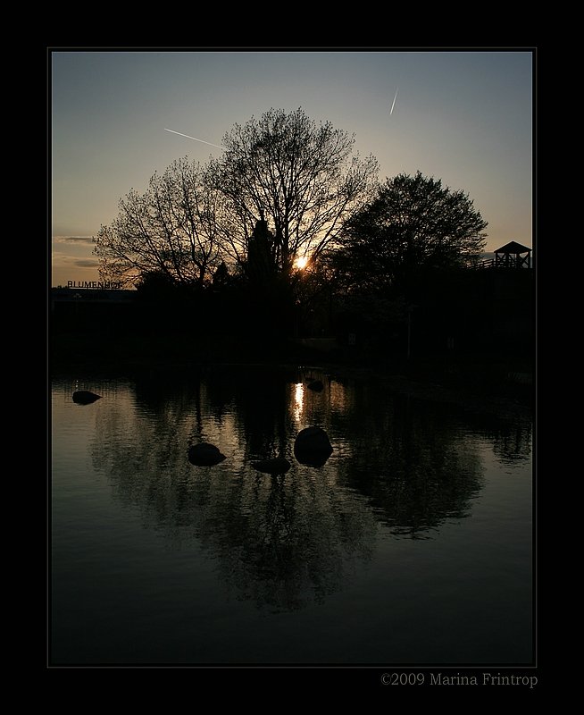 Abendstimmung am Wassergarten im Grugapark, Essen.