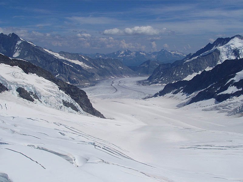 Aletschgletscher vom Jungfraujoch (3454 m) aus gesehen, 11. Juli 2003