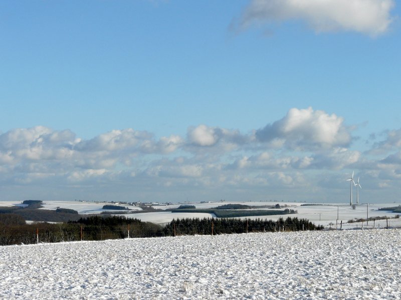 Am 02.02.08 gab's oberhalb von 400 m etwas Schnee in Luxemburg. Dieses Foto entstand in der Nhe von Goesdorf.