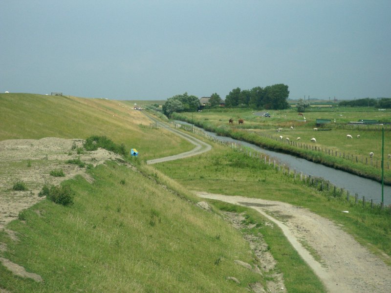 am Deich (nahe St. Peter-Ording) 2003