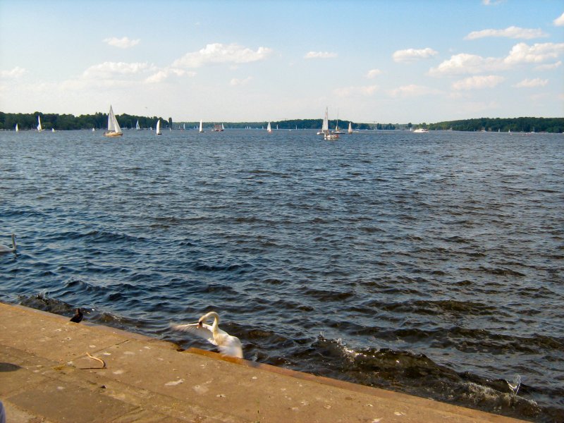 Am Groen Wannsee, Juni 2008