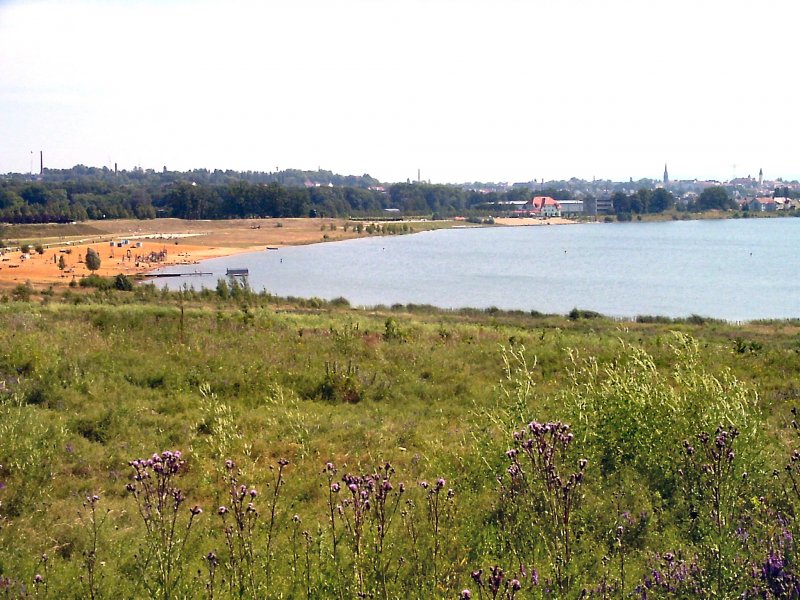 Am Olbersdorfer See, ehemaliger Tagebau bei Zittau, hier im Sommer 2004