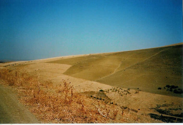 Am Rande der Wste Sahara in Marokko