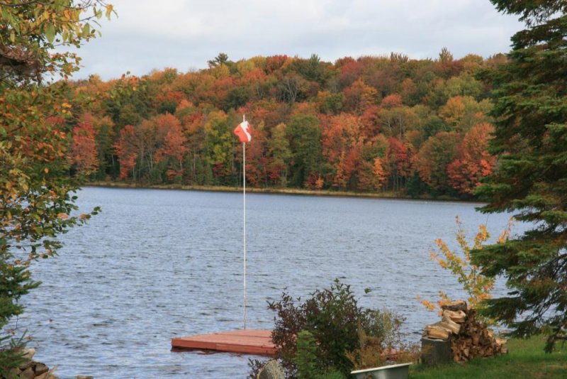 Am Spece Lake / Ontario.