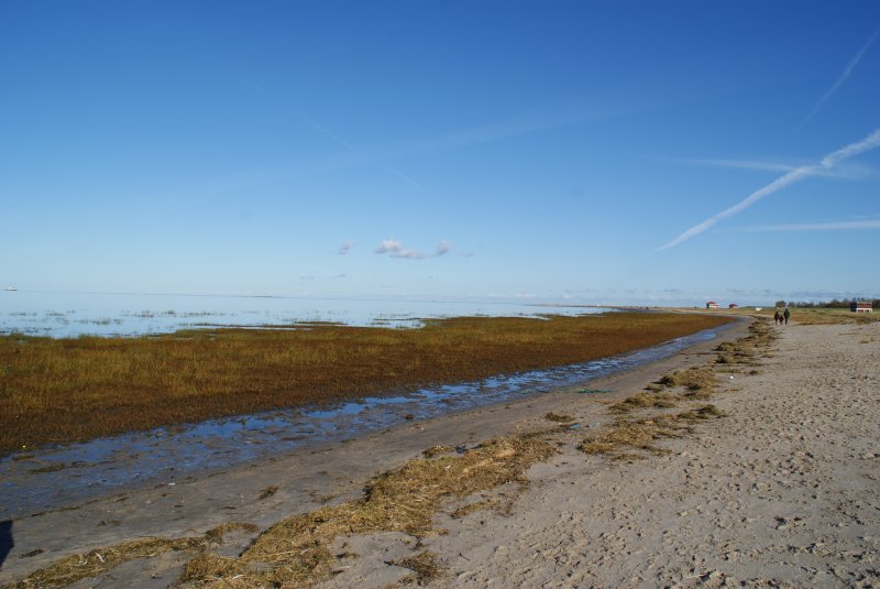 Am Strand von Hooksiel am 18.Oktober 2009.Nach Links geht es ins Wattenmeer.