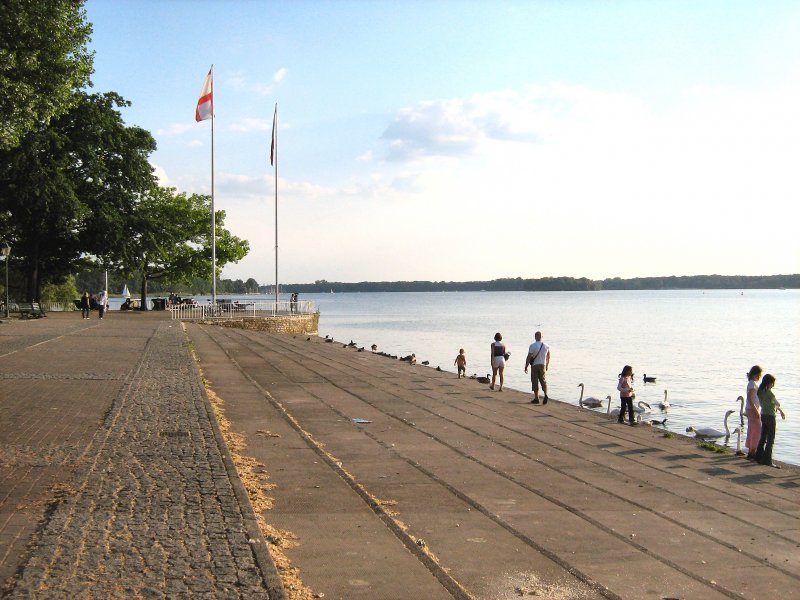 Am Tegeler See, Berlin-Tegel, Juni 2008