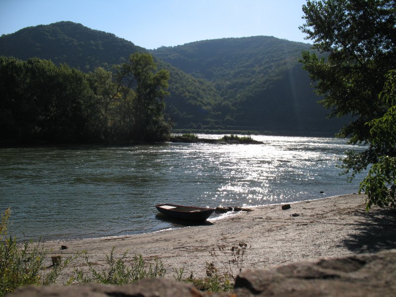 Am Ufer des Rheins.
( August 2007)