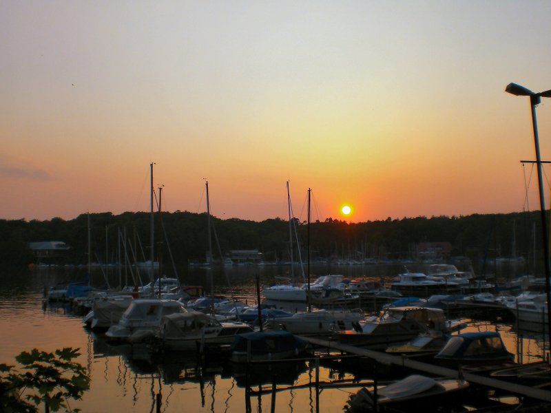 Amm Tegeler See (Berlin), Sommer  2007