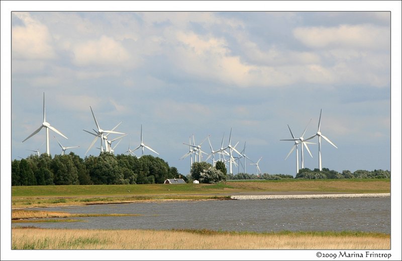 An der Ems bei Emden, Ostfriesland