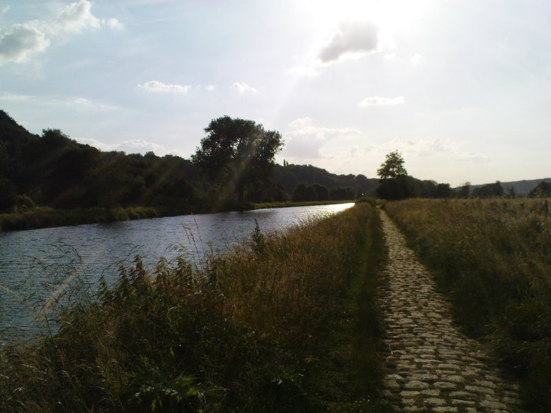 An der Ruhr bei Bochum-Stiepel am 11.06.08