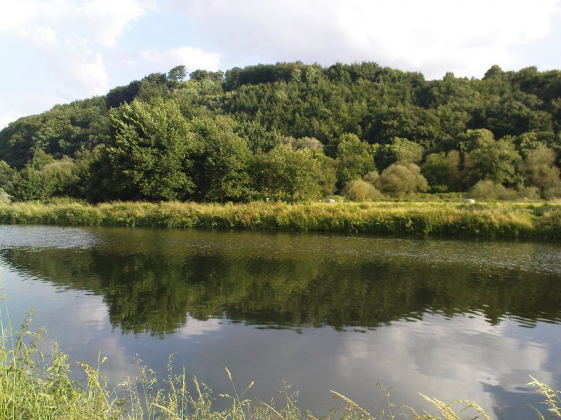 An der Ruhr bei Bochum-Stiepel am 11.06.08