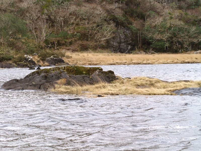 An den Seen kann man herrlich verweilen und die Ruhe genieen. (Nationalpark)