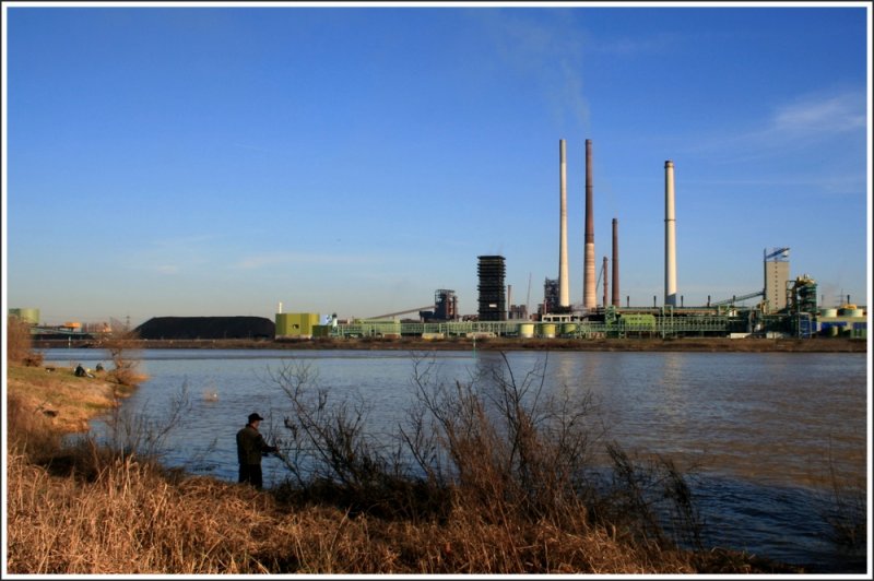 Angeln am Rhein in Duisburg - Unsere Fototour am Binsheimer Rheinufer war vor lauter Ruten und Anglercamps ein echter Slalomlauf.