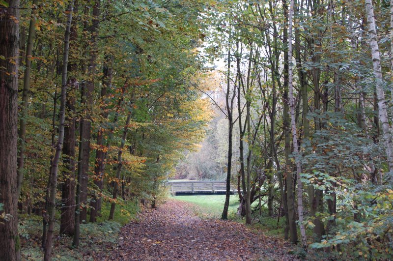 Auch diese Foto entstand in der Nhe des mminger Sees.Bochum ist eine Stadt mit sehr groem Baumbestand.