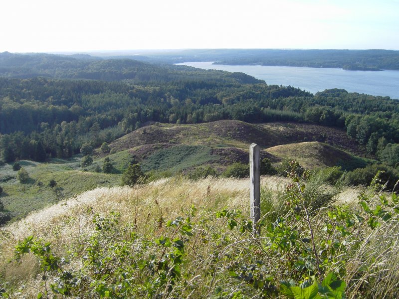 Auf dem Bild ist der Juls zu erkennen. Das Bild wurde von einem Aussichtspunkt namens Himmelbjerget aus geschossen. Interessant ist der bergang von Busch und Gras zu Dnen und der bergang von Dnen zu Wald. Diese Landschaft findet man in der Nhe der dnischen Stadt Silkeborg