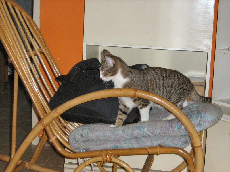 Auf dem Schaukelstuhl - Landschaftsfotos.eu