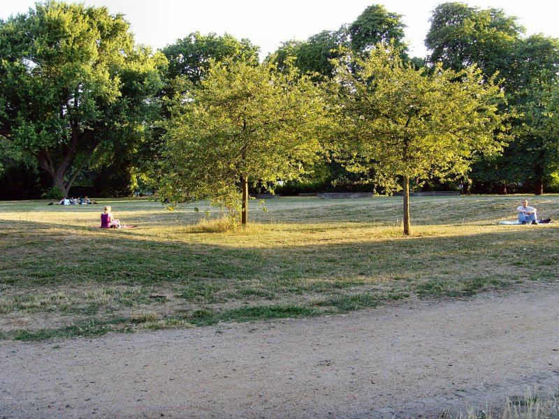 Auf der INSEL (in der Spree)
Juli 2008