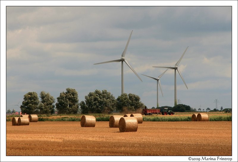 August 2009 - Strohernte in Ostfriesland