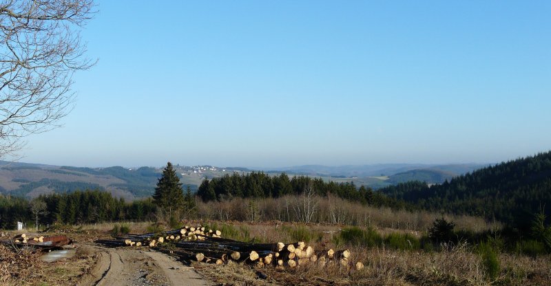 Aussicht von Pommerloch ber die Wlder der  islecker Koppen  und das Hhendorf Grmelscheid (Luxemburg). 19.12.07
