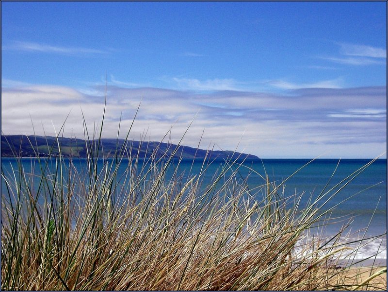 Australien - an der Ostkste in Hhe der Great Ocean Road.