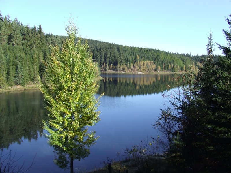 Bei einem Spaziergang am 14.10.07 an der Talsperre Eibenstock entstand diese Aufnahme.