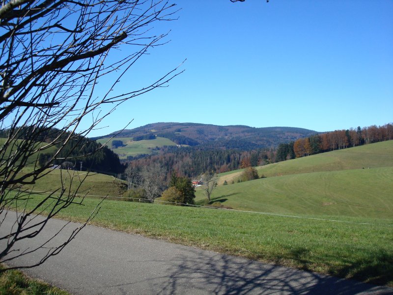 Bei St.Peter/Schwarzwald, Blick auf den Kandel 1241m hoch,
Nov.2007